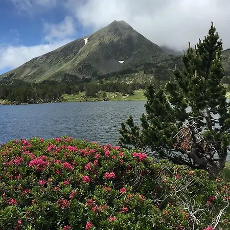 Magnifique Vue Et Montagnes Διαμέρισμα Les Angles (Pyrenees-Orientales)